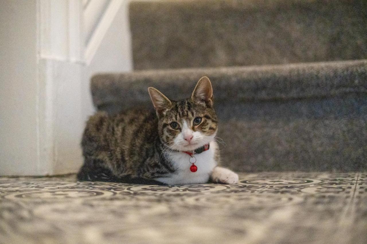 Apartament Cavendish Cat And Gaming House Blackpool Zewnętrze zdjęcie